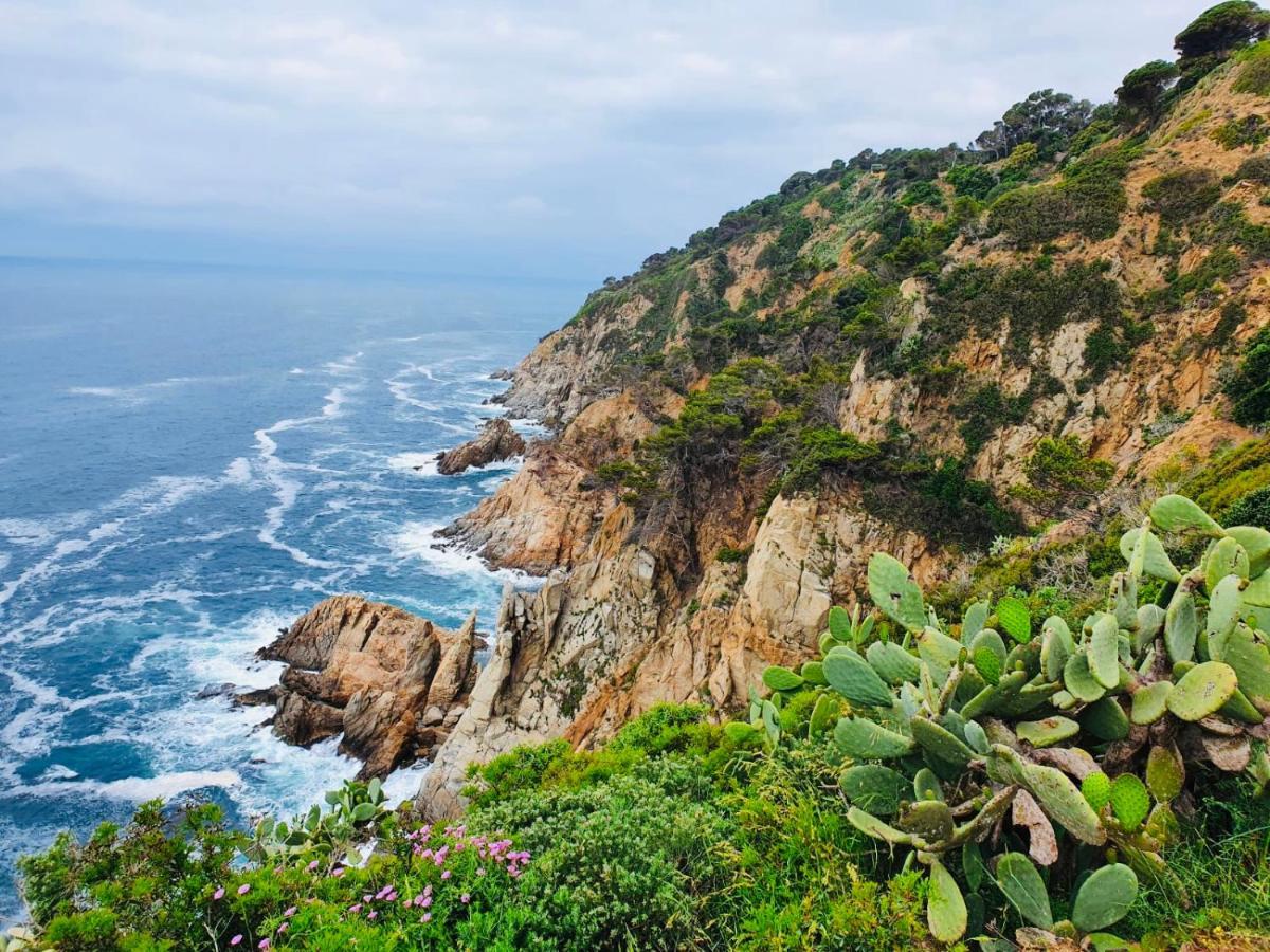 Apartamento Tossa De Mar Kültér fotó
