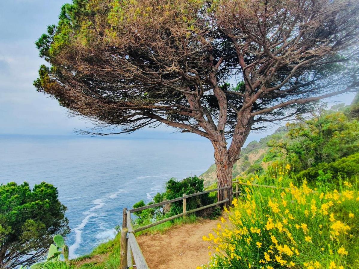 Apartamento Tossa De Mar Kültér fotó